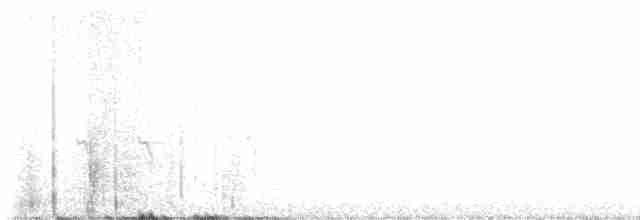 Шишкар ялиновий - ML612791148