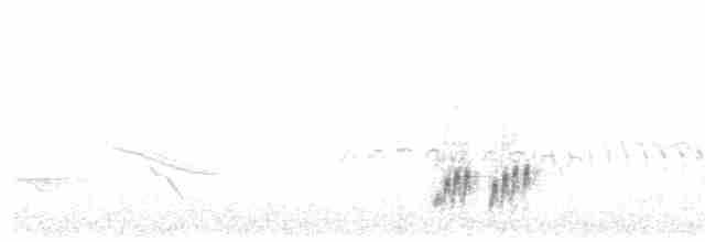 Crested Finchbill - ML612792198