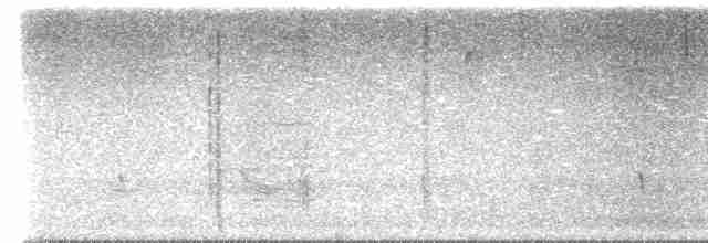 Черноспинный трёхпалый дятел - ML612794566