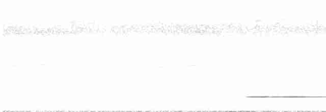 Thicket Tinamou - ML612801547