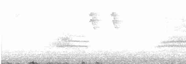 Какатоїс буроголовий - ML612801613