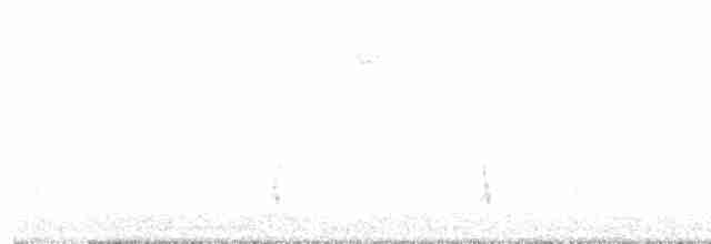 Дрізд-короткодзьоб плямистоволий - ML612802140