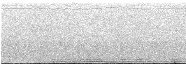 Graubrust-Ameisendrossel - ML612803161