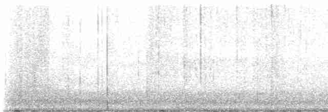 Gray Wagtail - ML612804714