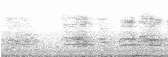 オウム目（インコ科 小さな種） - ML612804774