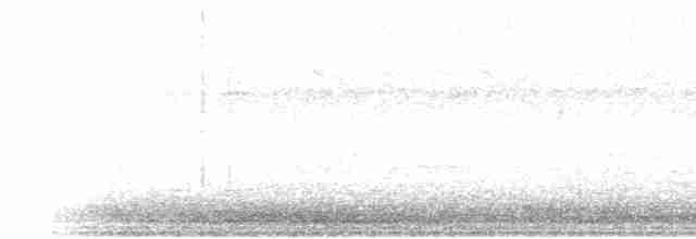 White-throated Crake - ML612810376