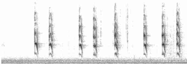 Troglodyte des forêts - ML612811873