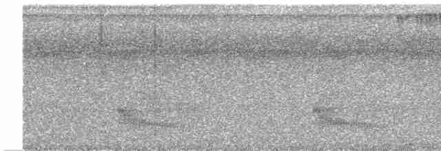 Grauschopf-Ameisenvogel - ML612812055