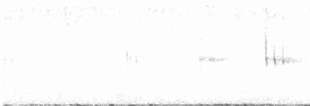 White-throated Treerunner - ML612813779