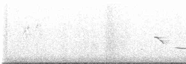 Eastern/Chihuahuan Meadowlark - ML612816521