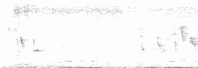 Limon Karınlı Sinekbülbülü [flavigaster grubu] - ML612818935