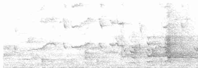 Медолюб-сережник східний - ML612819982