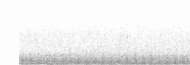 Iberian Gray Shrike - ML612822538