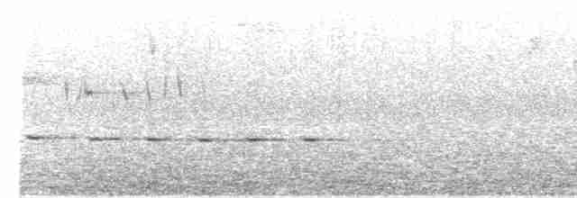 Королаз плямистобокий - ML612824410