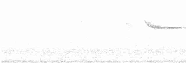 Вилохвістка білочуба - ML612824548