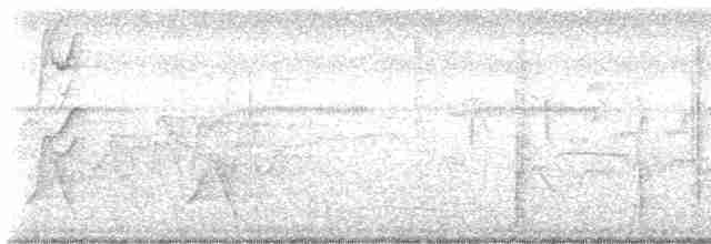 Black-tailed Trogon - ML612824686