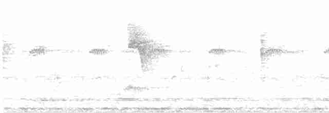 strakapoud hnědohlavý - ML612825468