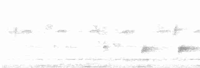 strakapoud hnědohlavý - ML612825502