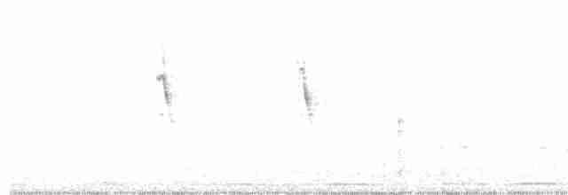 Волнистый астрильд - ML612826621