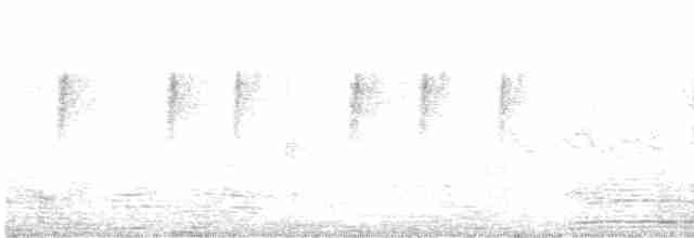 Сіпарая жовточерева - ML612827649