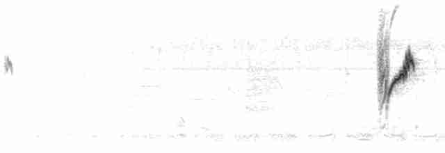 Атласная нектарница - ML612828646