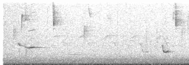 Трупіал чорноволий - ML612829116