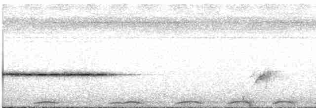 holub angaurský - ML612832878
