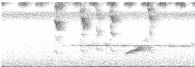Палауская веерохвостка - ML612833261