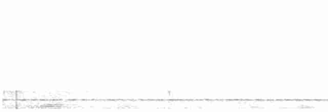 Chevêchette cuculoïde - ML612839509
