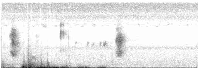 חרטומית סיבירית - ML612841859