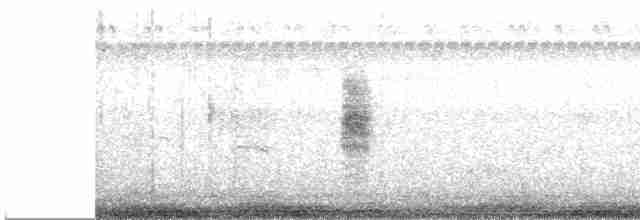 Manchurian Reed Warbler - ML612844109