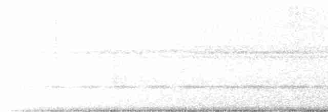 Сова-лісовик смугаста - ML612844988