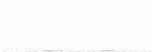 holub světlebřichý - ML612847802