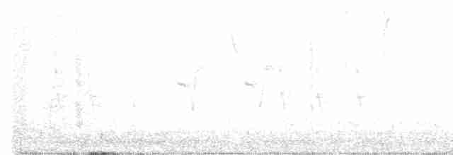Chochín Hiemal - ML612850165