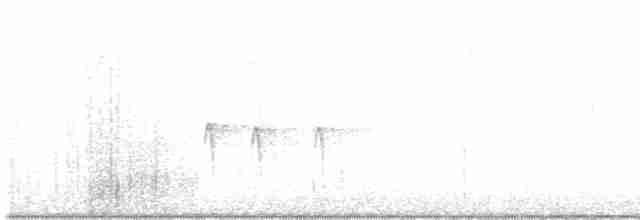 Шишкар ялиновий - ML612850359