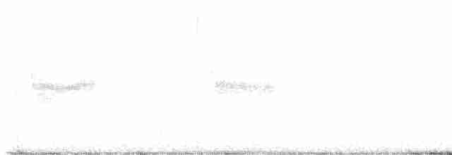 Loggerhead Shrike - ML612850710