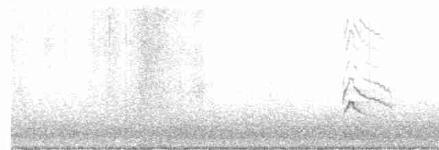 Дятел-смоктун жовточеревий - ML612850875