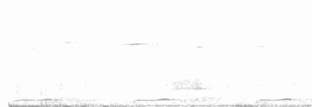 Ninoxe hirsute - ML612852855