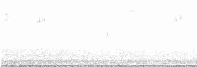 Sarı Karınlı Boreal Sinekkapan - ML612854725