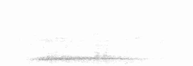 Серый павлиний фазан - ML612855532