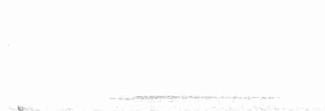 Серый павлиний фазан - ML612855534
