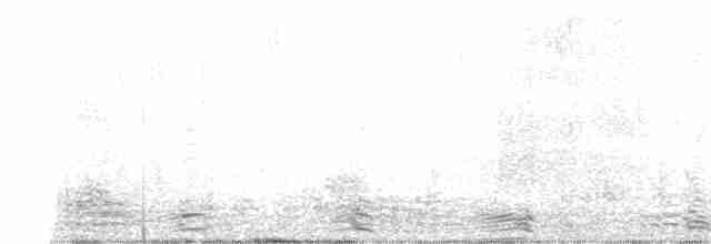 Branta musubeltza (hrota) - ML612857662