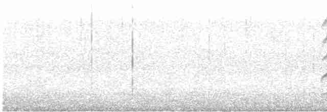 Channel-billed Cuckoo - ML612857711