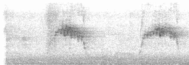 Молуккский ибис - ML612857813