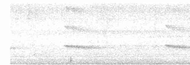 Alción de Esmirna - ML612859076