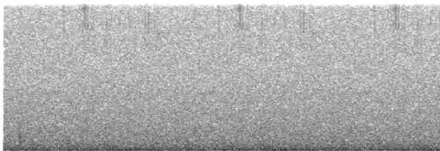 Поплітник каролінський - ML612860052