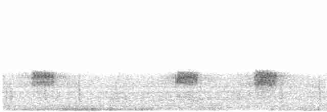 Крячок білокрилий - ML612869526