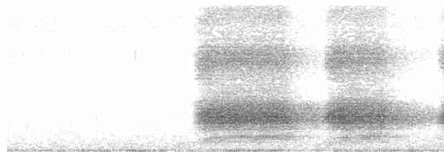 Горіхівка крапчаста - ML612873518
