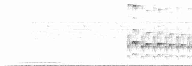 Ticotico Ojiblanco - ML612874196