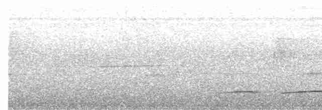 gittermaurvarsler - ML612874754